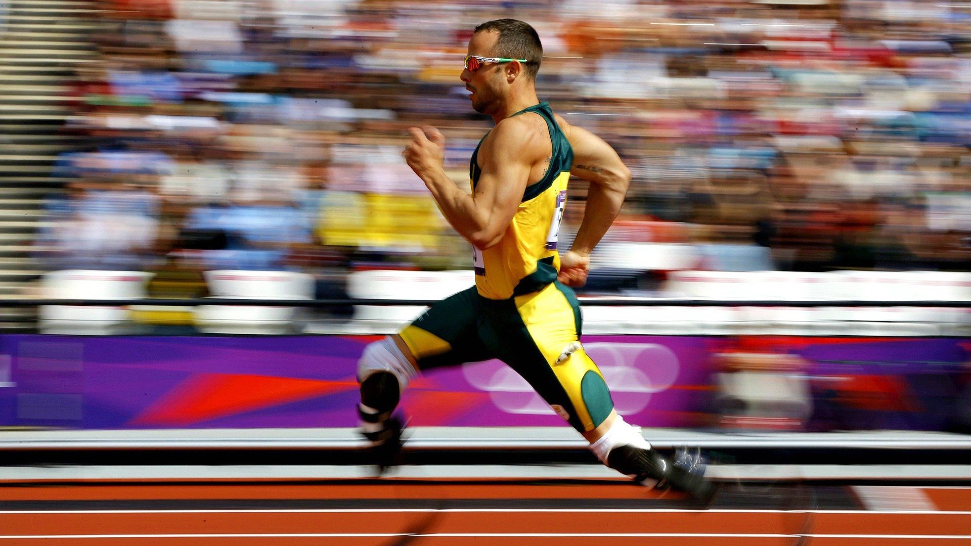 _网球比赛的裁判制度变革，增强赛事公平性_，简述网球裁判规则400字